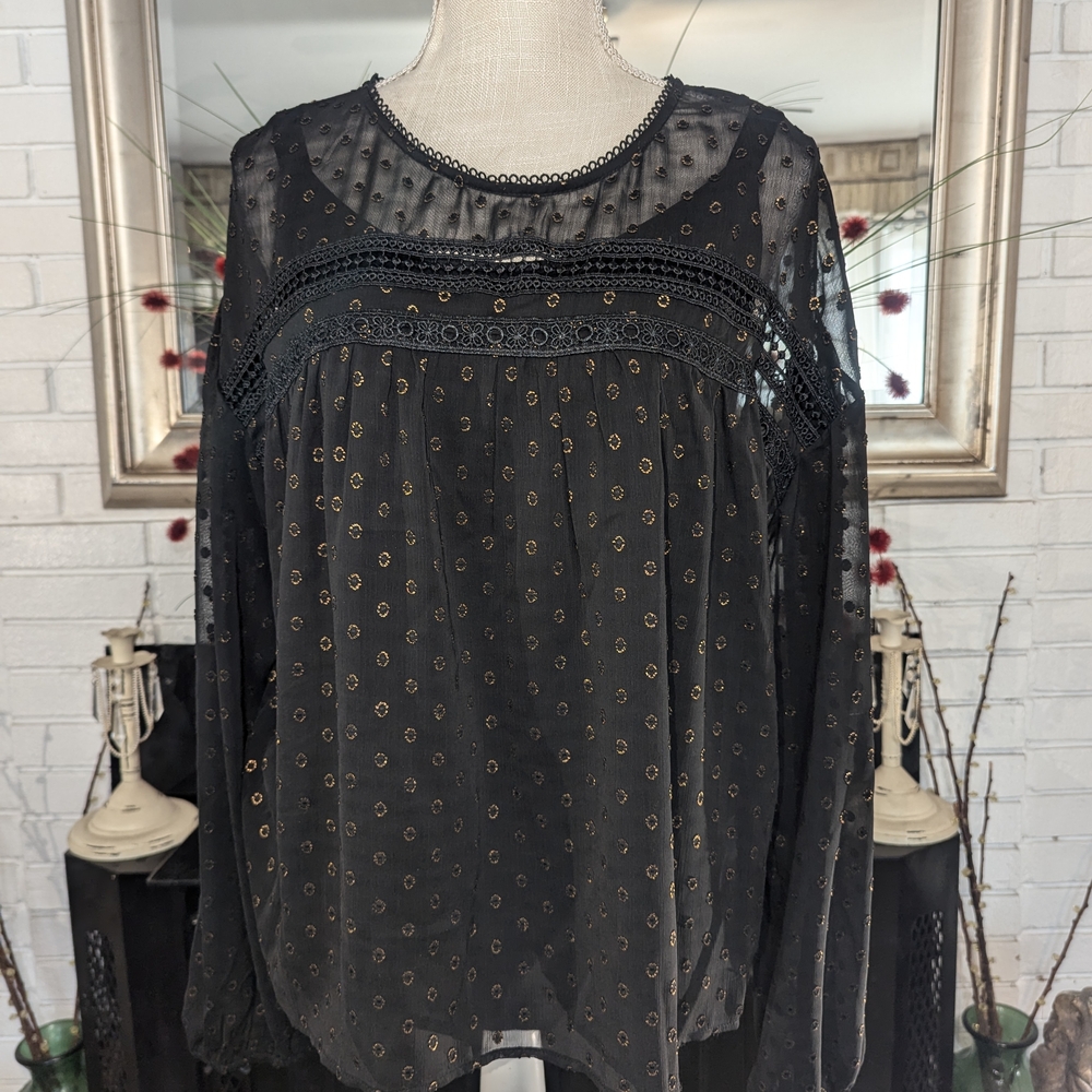 Gypsies & Moondust Black Sheer Blouse with Peter Pan Collar